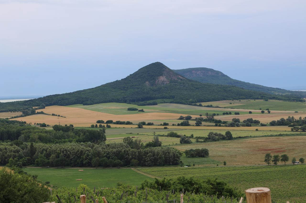 Villa Tolnay Vendeghaz Gyulakeszi ภายนอก รูปภาพ